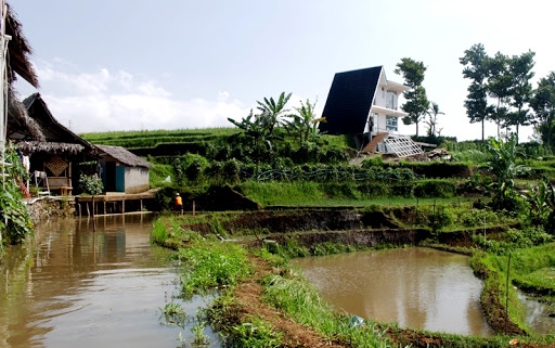 Kelebihan Memelihara Ikan di Darat